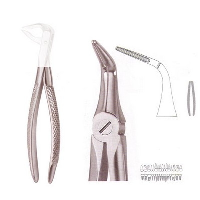 Extracting Forceps